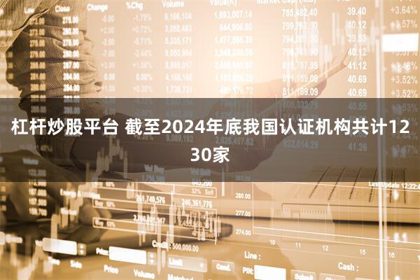 杠杆炒股平台 截至2024年底我国认证机构共计1230家